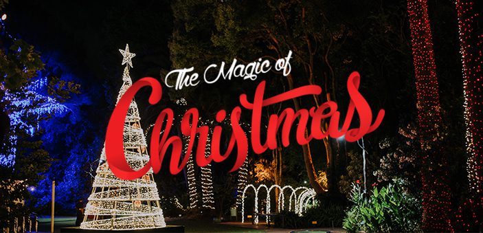 the-magic-of-christmes-img